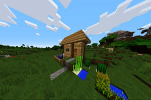 World Craft 2