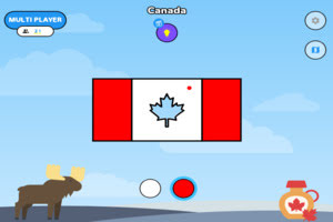 Flag Paint: World Tour