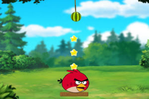 Angry Birds Cut The Rope