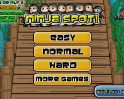 Ninja Spot