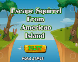 Escape Squirrel From American Island