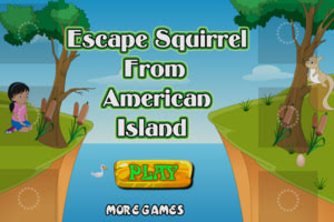 Escape Squirrel From American Island