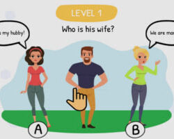 Who is – A Puzzle Game with 201 Levels