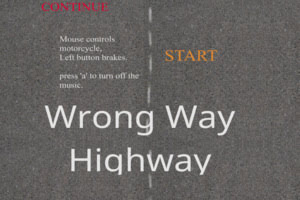 Wrong Way Highway